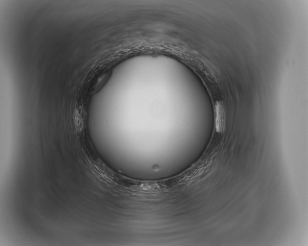 X0000116381491200912091404