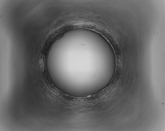 X0000116381493200912091404