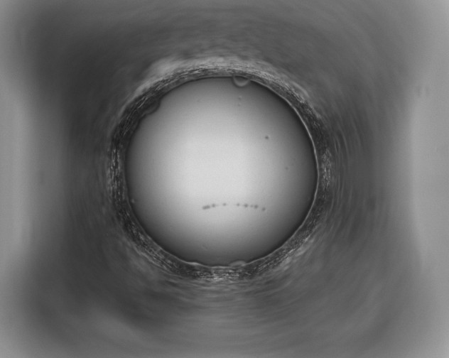 X0000116381494200912091404