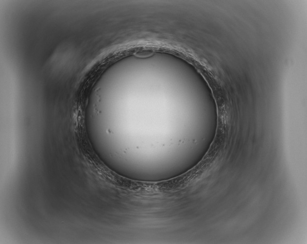 X0000116381495200912091404