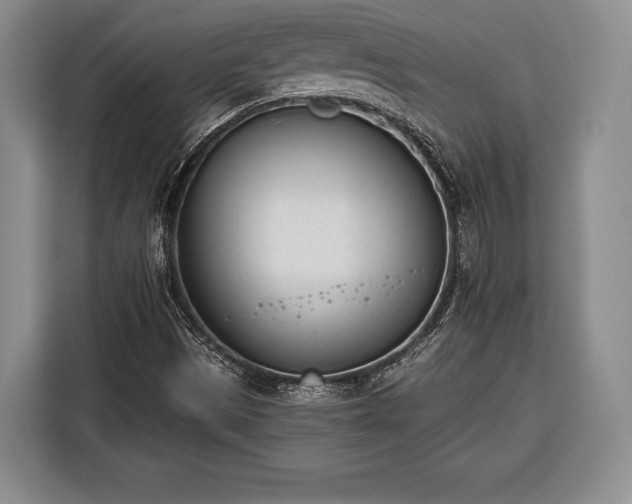 X0000116381497200912091404