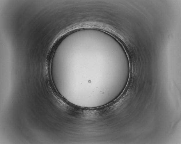 X0000116381498200912091404