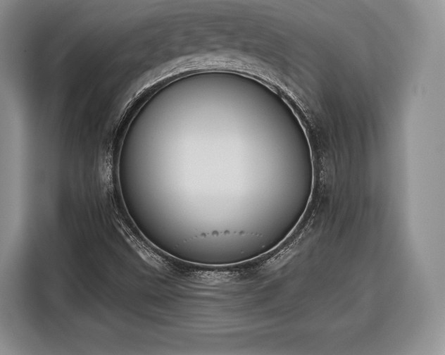 X0000116381499200912091404