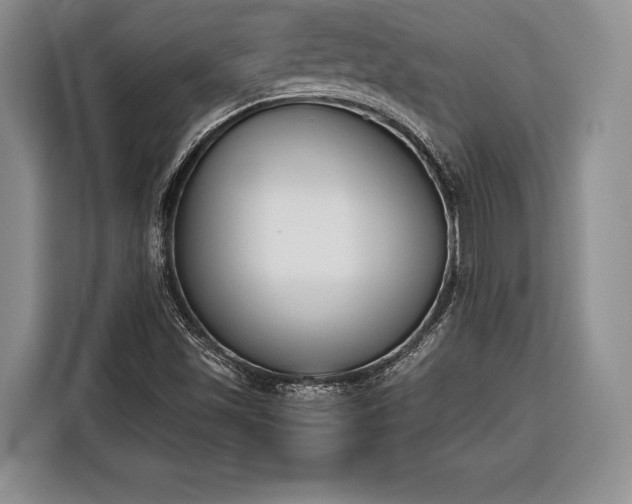 X0000116381501200912091404