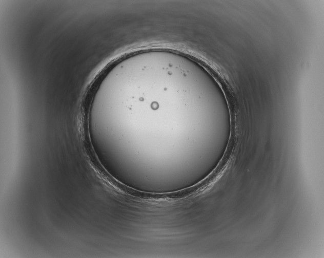 X0000116381502200912091404