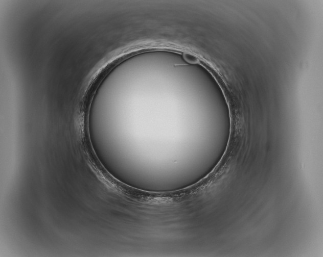 X0000116381503200912091404