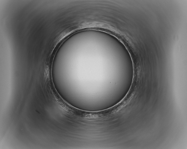 X0000116381505200912091404