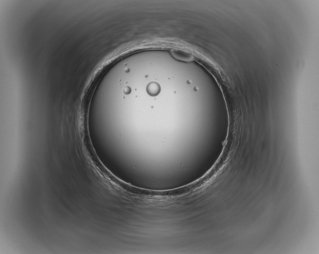 X0000116381506200912091404