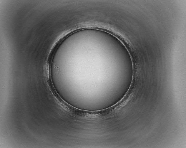X0000116381509200912091404