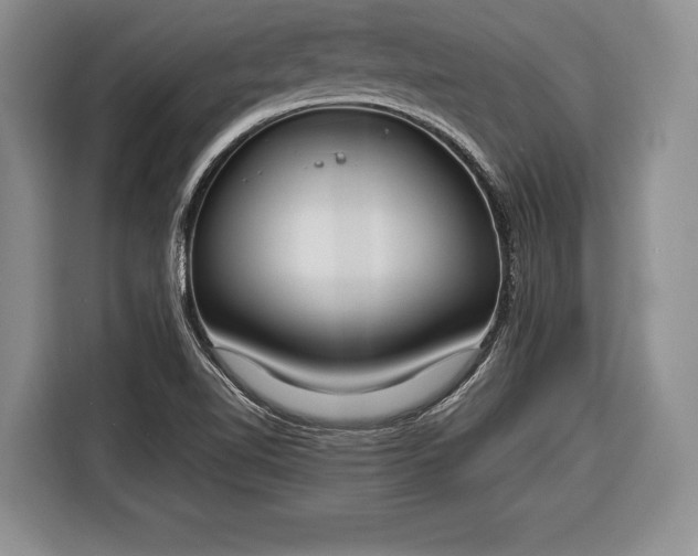 X0000116381510200912091404