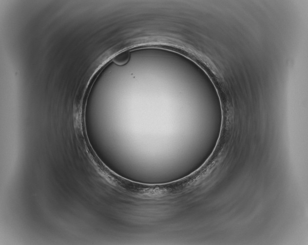 X0000116381513200912091404