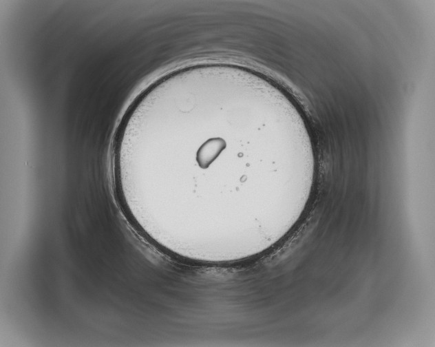 X0000116381514200912091404