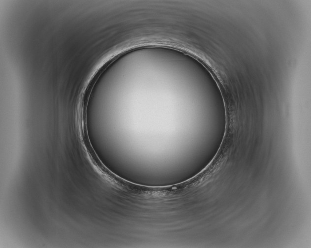 X0000116381515200912091404