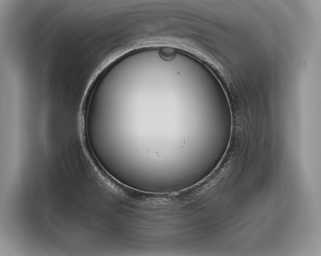 X0000116381517200912091404