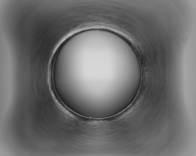 X0000116381518200912091404