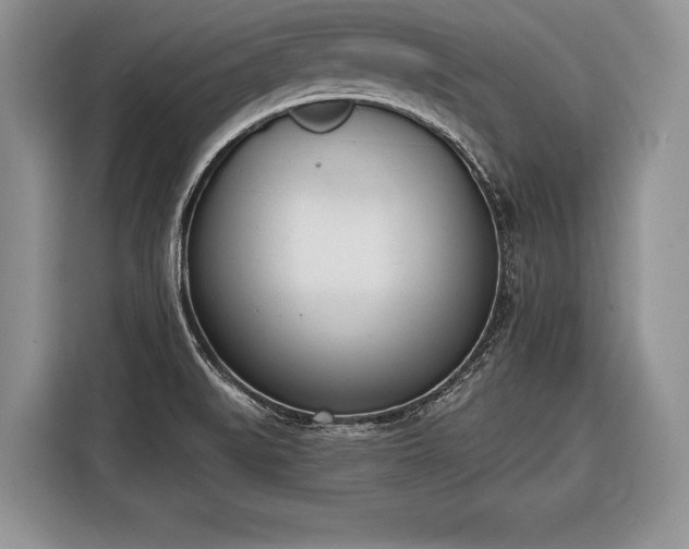 X0000116381519200912091404