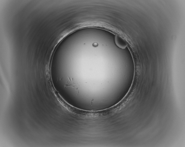X0000116381521200912091404