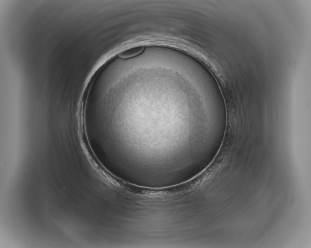 X0000116381522200912091404