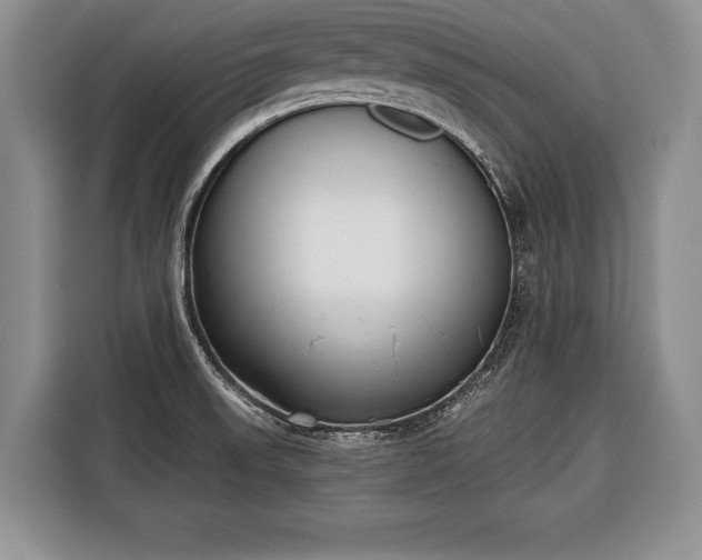 X0000116381523200912091404