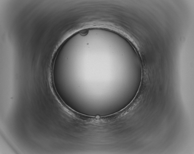X0000116381525200912091404