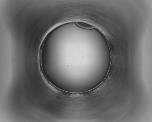 X0000116381526200912091404