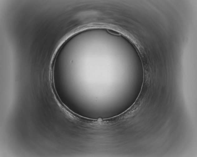X0000116381527200912091404