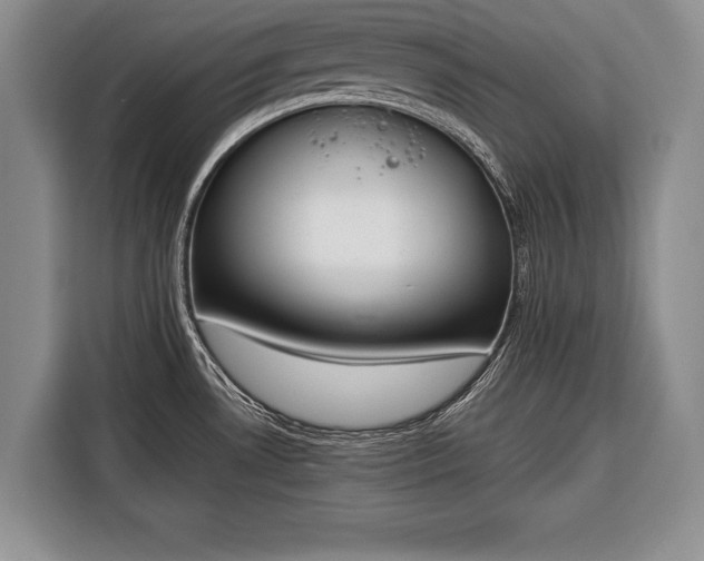 X0000116381530200912091404