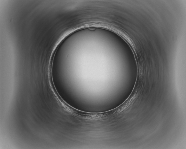 X0000116381533200912091404