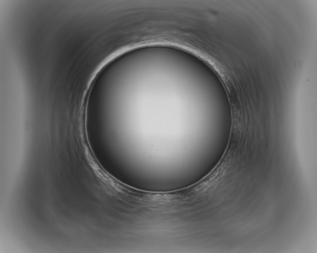 X0000116381534200912091404