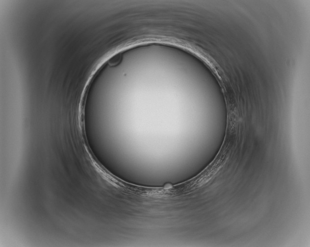 X0000116381535200912091404