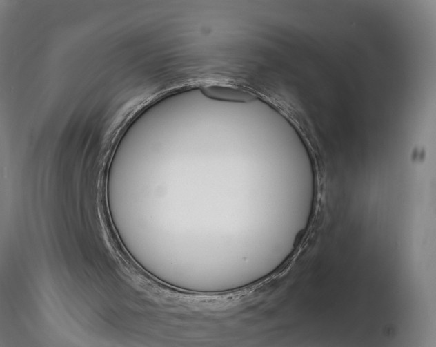 X0000116380001200912161512