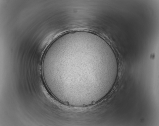 X0000116380002200912161512