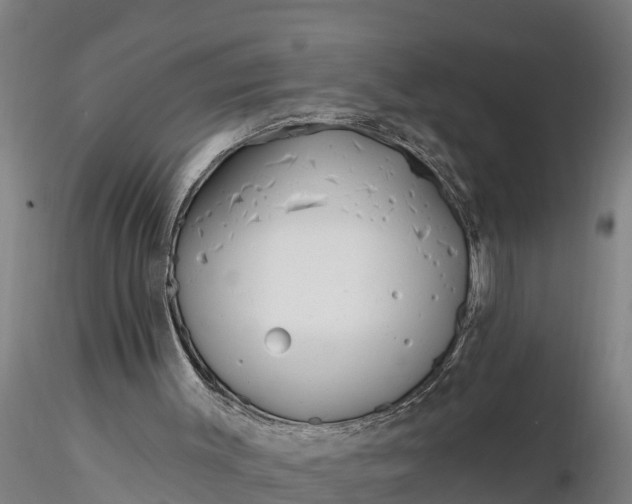 X0000116380003200912161512