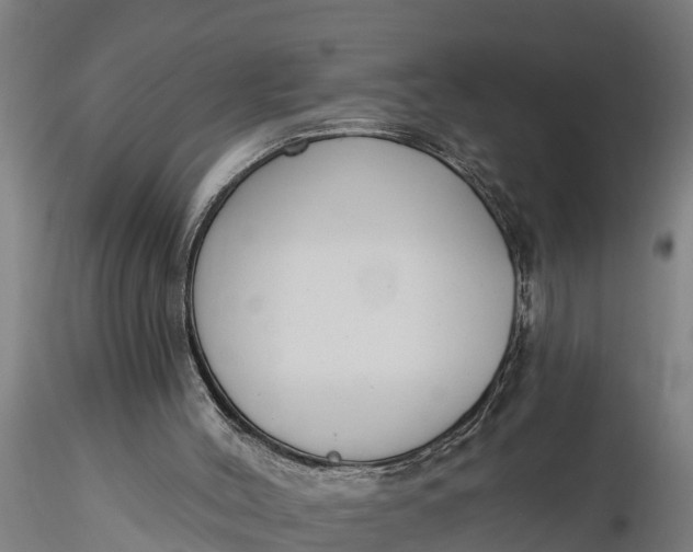 X0000116380004200912161512