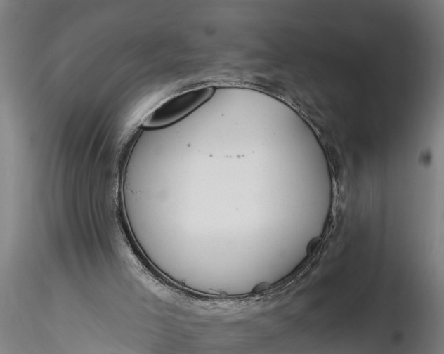 X0000116380005200912161512