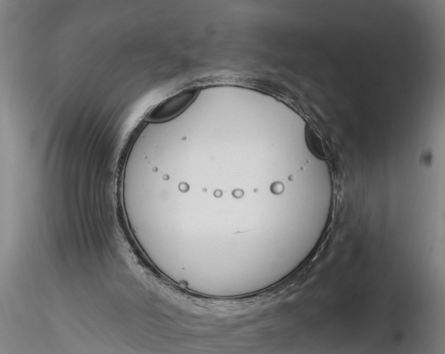 X0000116380006200912161512