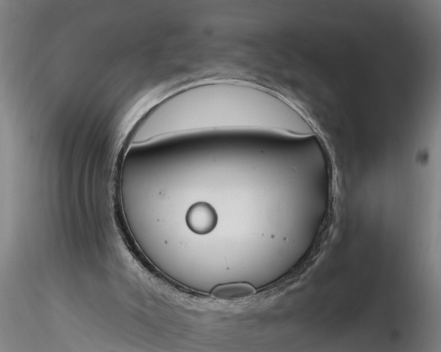 X0000116380007200912161512
