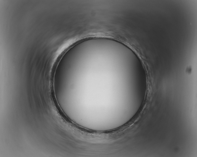 X0000116380008200912161512