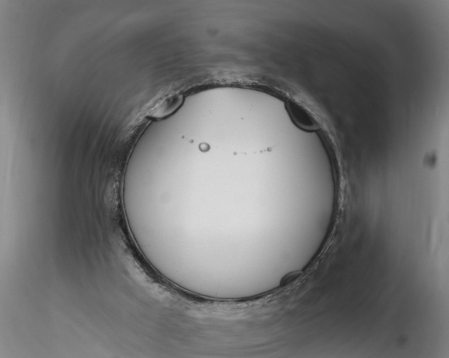 X0000116380009200912161512