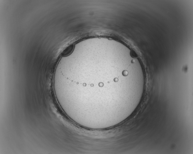 X0000116380010200912161512