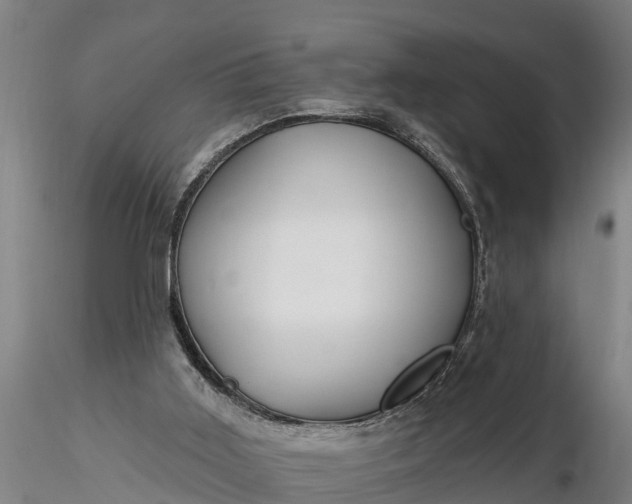 X0000116380011200912161512