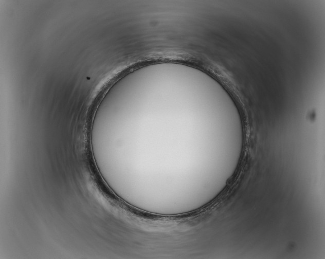 X0000116380012200912161512