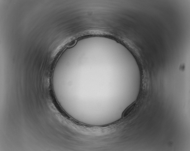 X0000116380015200912161512