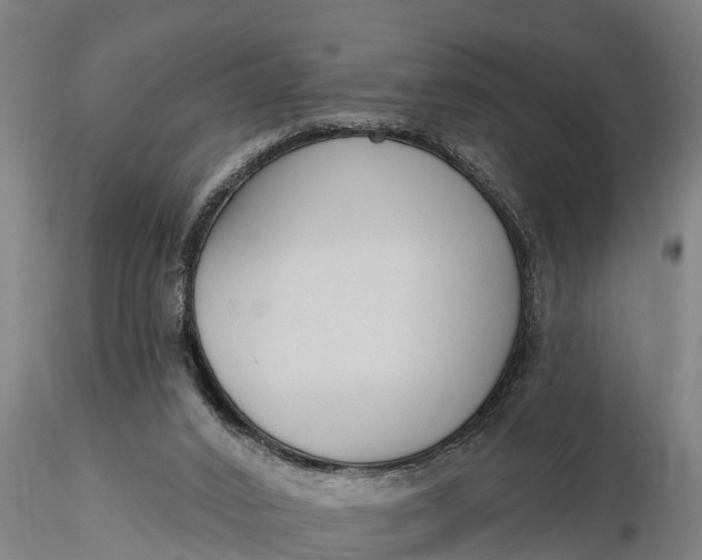X0000116380016200912161512