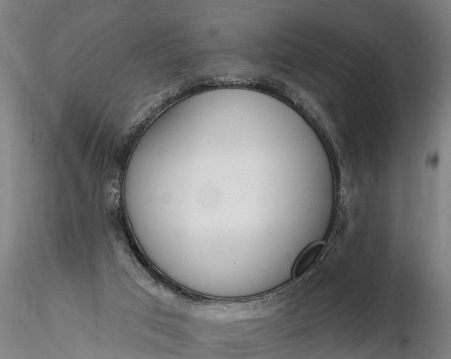 X0000116380017200912161512