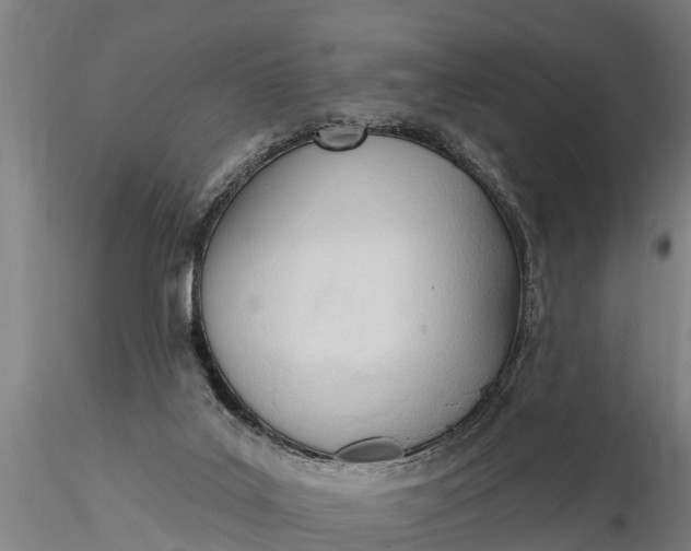 X0000116380019200912161511