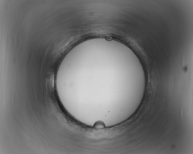 X0000116380021200912161511