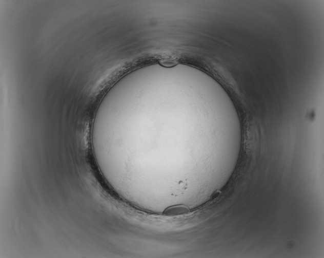 X0000116380023200912161511