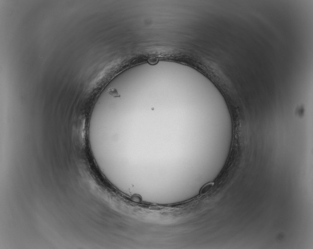 X0000116380024200912161511