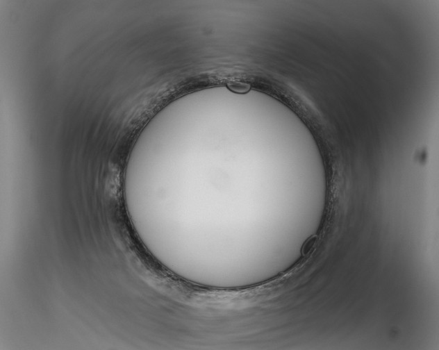 X0000116380025200912161511
